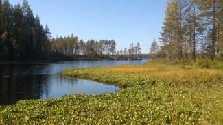 Kalliojärvi